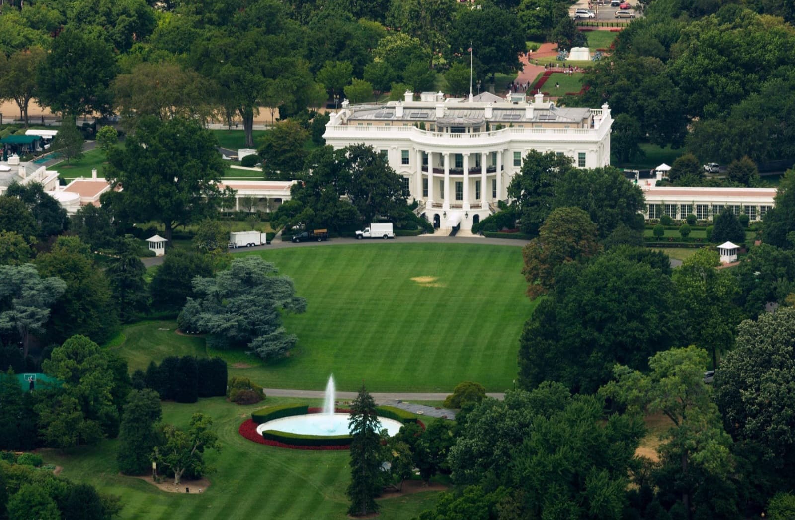 Trump Turns White House Into UFC Arena, Blurring Politics and Spectacle