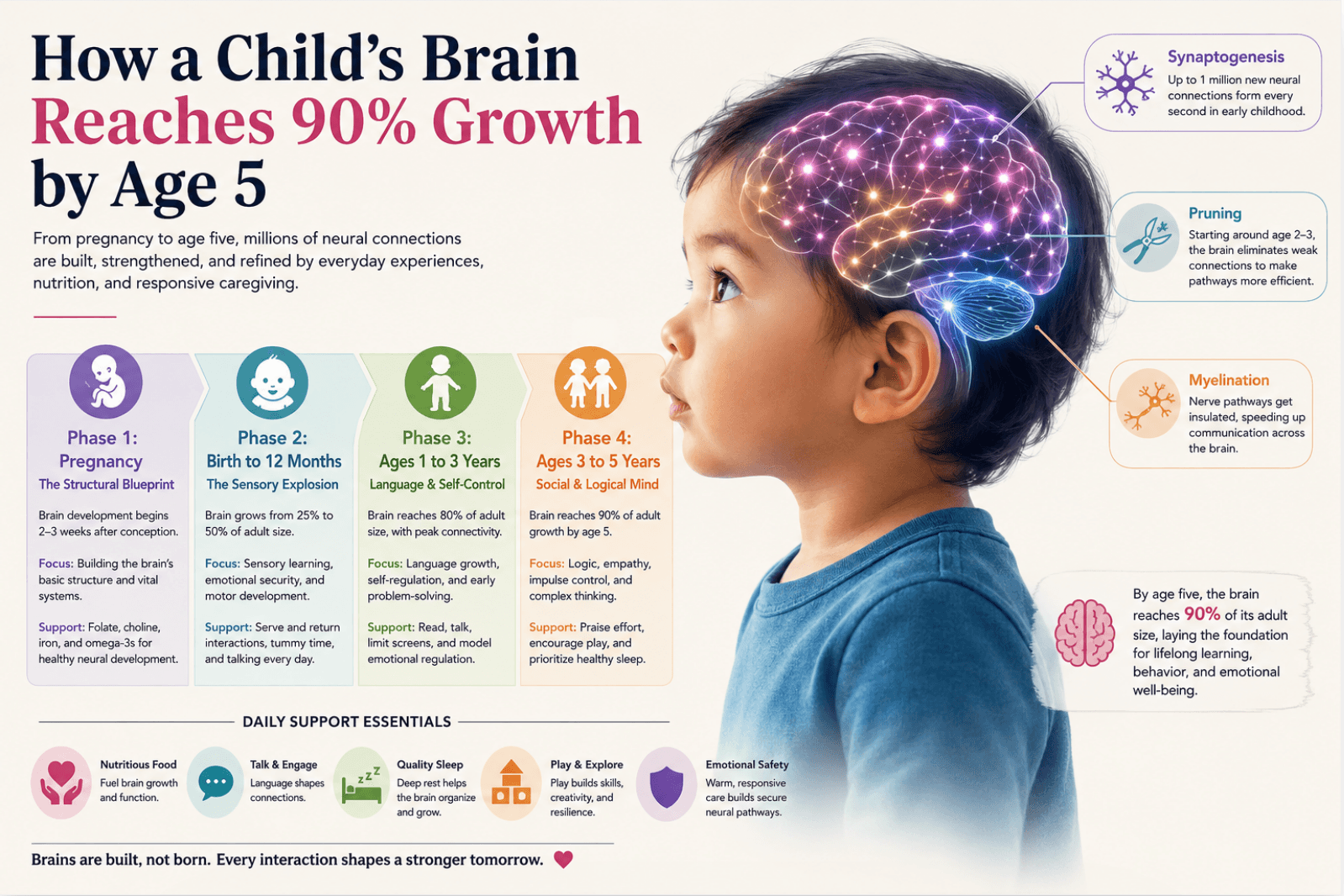 How a Child’s Brain Reaches 90% Growth by Age 5