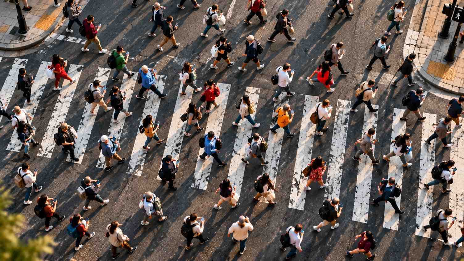 Canada Immigration: Temporary Residents Fall as Population Growth Slows to 0.5%